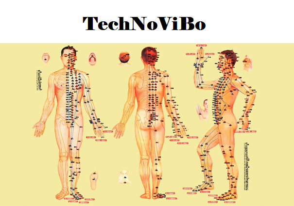 TechNoViBoc